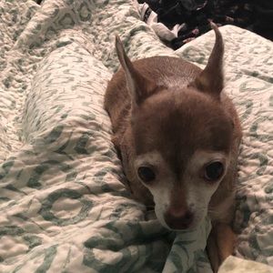 Meet your Posher, Michelle